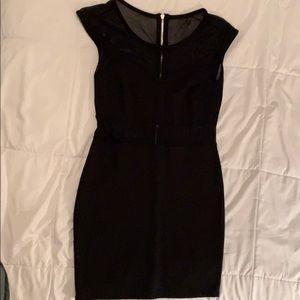 Sheer Black cut out Mini